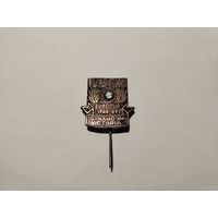 Кубок УЕФА Динамо Минск Виктория