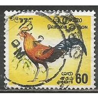 Цейлон. Джунглевая курица. 1966г. Mi#342.