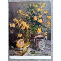 Навашина. Купавки