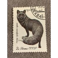 СССР 1980. Лисица серебристо-чёрная. Марка из серии