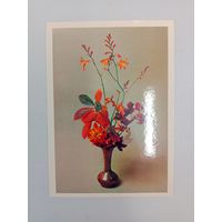 Открытка 1983