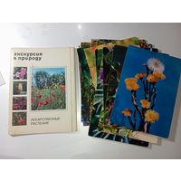 Набор открыток . Лекарственные растения .