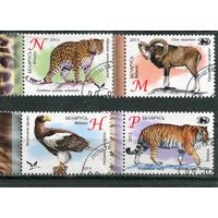 Беларусь 2013.. Зоопарки Беларуси