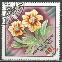 Монголия. Цветы. Бархатцы. 1983г. Mi#1562.