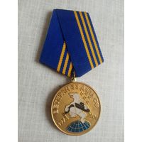 Медаль. Ветерану 33-й ДиПЛ СФ.