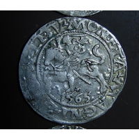 Полугрошка 1565. Без топора .2.