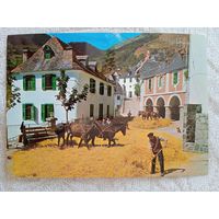 Испания, долина Аран, Гаусах. Типичный метод обмолота