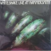 Whitesnake /Live At Hammersmith/1978, Polydor, LP, NM, Japan