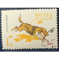 СССР 1965 собаки 1 из 8.