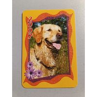 Карманный календарик. Собака. 2007 год