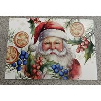 Открытка Дед Мороз , остролист, можжевельник, цитрусы. Чистая