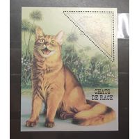 Того. 1999 год. Фауна. Кошки (751)
