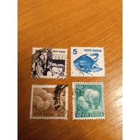 Индия флора фауна (1-12)