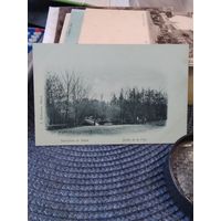 Открытое письмо Минск Городской сад