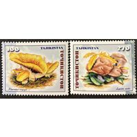 Марки Таджикистан 1999 Грибы MNH