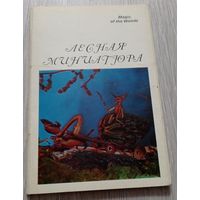 Лесная миниатюра. 15 из 16 открыток. Издательство "Аврора". 1971.