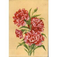 Подписанная открытка 1961 г. БССР "Гвоздика" худ. В. Зеленов