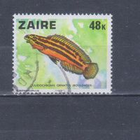 [6] Заир 1978. Фауна.Рыба.48 к. Гашеная марка.
