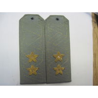 Погоны рубашечные генерал-лейтенанта, 13 см.