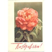 Подписанная открытка СССР. Матанов. Айзман. 1968