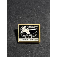 Лебедь-шипун