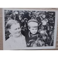 Фото в коллекцию