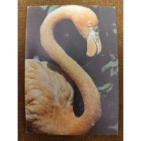 Календарик