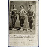 Оригинальное трио Селины Ревельтон. Германия. 1904 г.