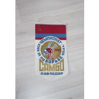 Вымпел по борьбе, ЦС ВДСО чемпионат, труд, самбо, павлодар.