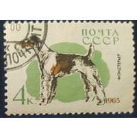 СССР 1965 собаки 1 из 8, наклейка.