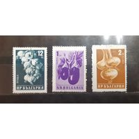 Болгария. Флора. Овощи (293)