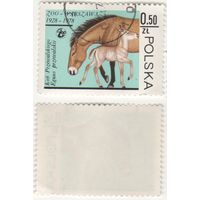 Польша 1978.11.10 (Mi)PL2584 марка из сер.Варшавский зоопарк - 0,50zl Лошадь Пржевальского (Equus przewalski) (г) (a1-10 ТОРГ/ВАША ЦЕНА