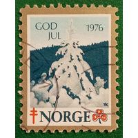 Норвегия 1976. Рождество