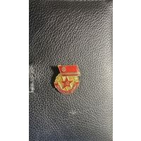 Значок. Инструктор ДОСААФ СССР