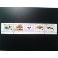 Югославия, 1989. WWF, утки,** сцепка. Mi-10.0 евро