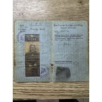 Паспорт 1917г.