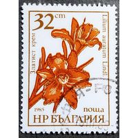 Марка Болгария 1985 год Цветы