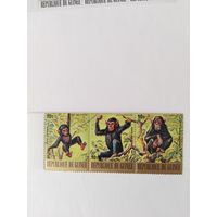 Гвинея  1977 3м сцепка  дикие животные