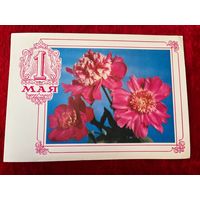1 мая 1976 год. Фото Г. Костенко. Чистая
