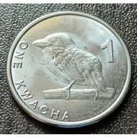 Замбия 1 квача, 2024     ( 1-9-2 )