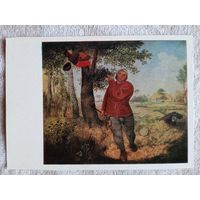 Брейгель. Похититель гнёзд