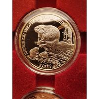 Бобр Березинский заповедник