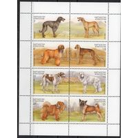 Киргизия 2000. Породы собак. Малый лист (78)