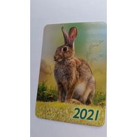 Календарик.Заяц-русак.2021.