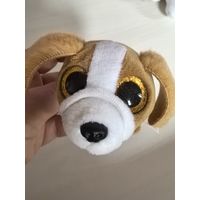 Маленькая собачонка с большими глазами