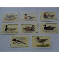 Экваториальная Гвинея, утки