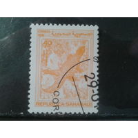 Сахара, 1998. Фауна