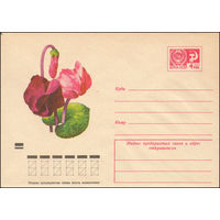 Художественный маркированный конверт СССР N 8373 (25.07.1972) Цикламены