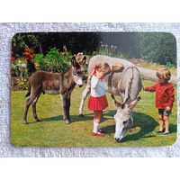 Календарики. Испания. Дети