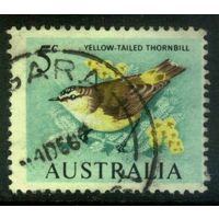 Австралия - 1966 [Mi. 362] Гашеная (AU09)